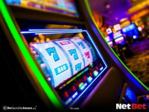 zbzb|Última chance bingo online em reais Ganhe Hoje